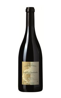 Domaine Pierre Damoy Chapelle-Chambertin Grand Cru 2013